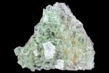 Green Fluorite Crystals with Purple Phantoms - Mongolia #100738-1